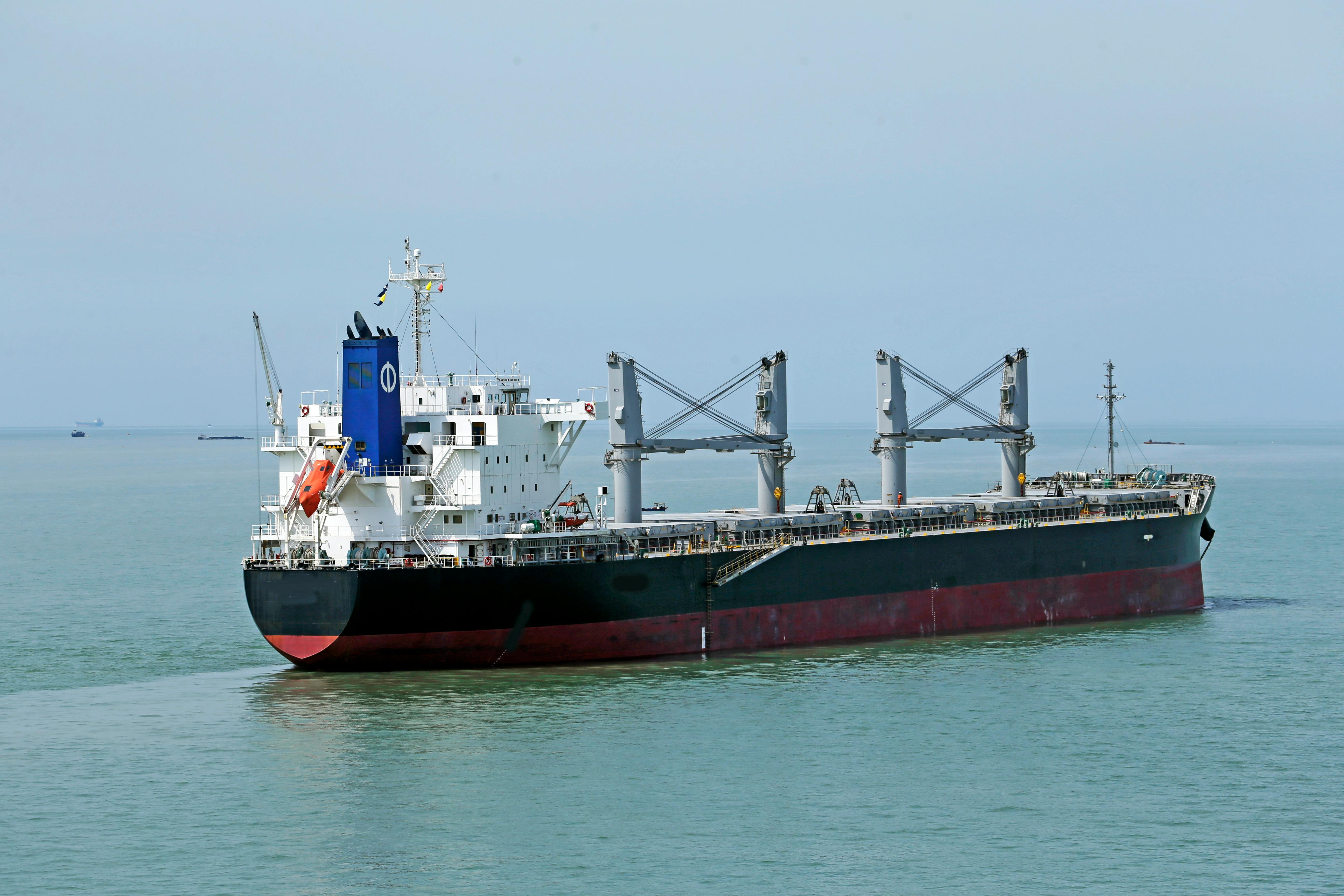 Dry bulk carrier at sea